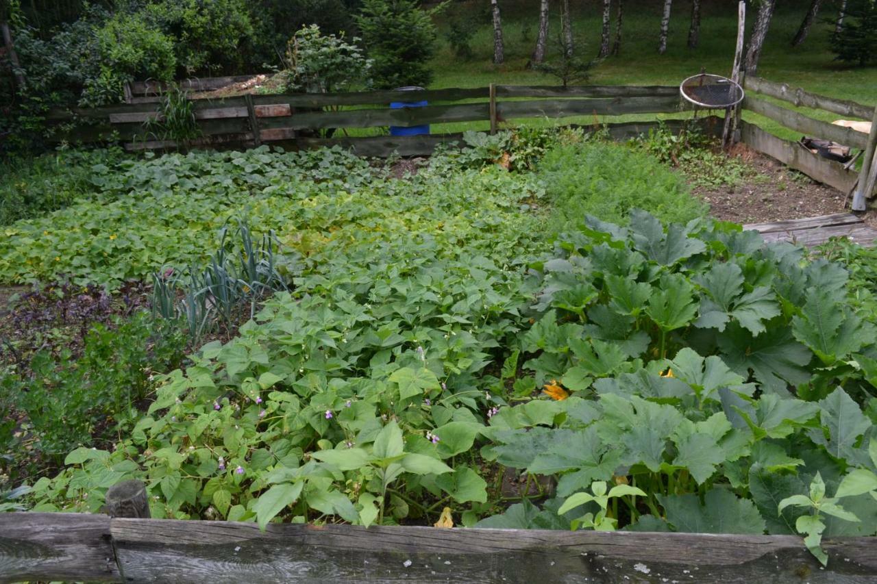 Agroturystyka Teosiowo Pobiedna Eksteriør bilde